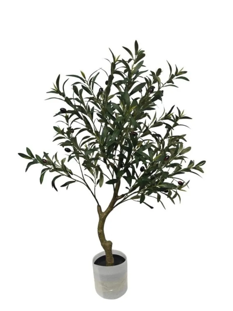 Online Bizzotto PIANTA ULIVO C-VASO H90