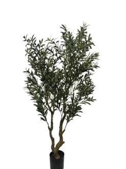 Outlet Bizzotto PIANTA ULIVO C-VASO H180