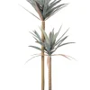New Bizzotto PIANTA YUCCA C-VASO 68FOGLIE H128