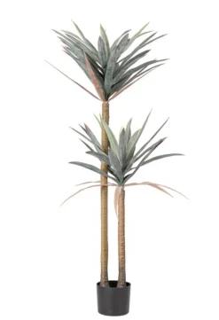 New Bizzotto PIANTA YUCCA C-VASO 68FOGLIE H128
