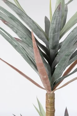 New Bizzotto PIANTA YUCCA C-VASO 68FOGLIE H128