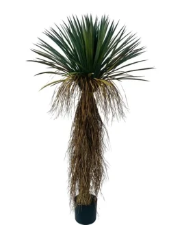 New Bizzotto PIANTA YUKKA ROSTATA C-VASO H150