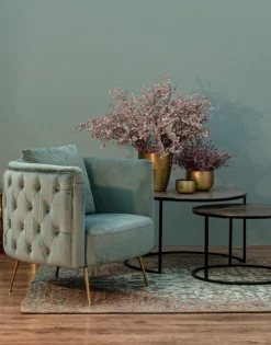 Hot Bizzotto POLTRONA BLU TURCHESE - TENBURY