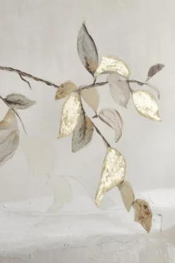 New Bizzotto QUADRO CROWN P6192 120X80