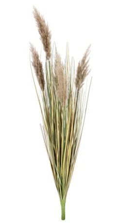 Sale Bizzotto RAMO GYNERIUM PAMPAS H100