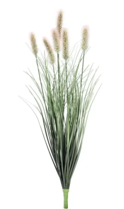 New Bizzotto RAMO PENNISETUM H60